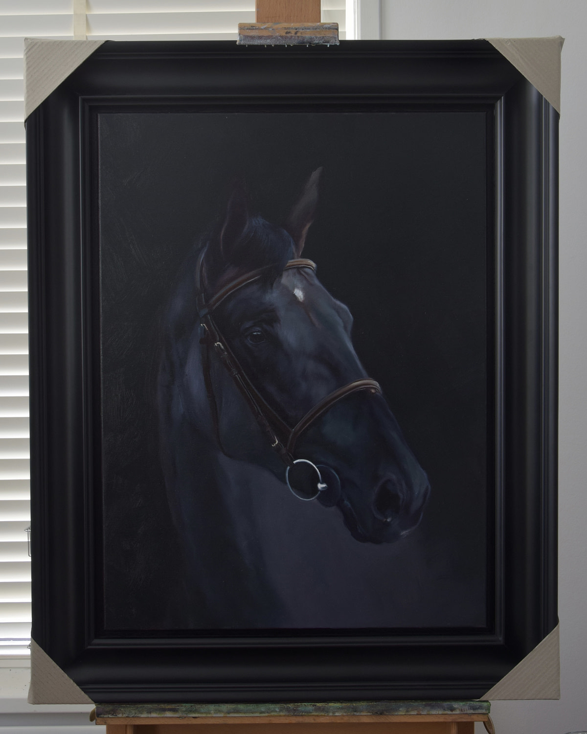 zwart paard portret corry van hoorn