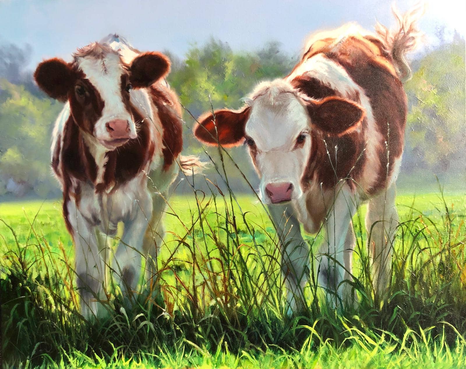 twee koeien in de wei Corry van Hoorn